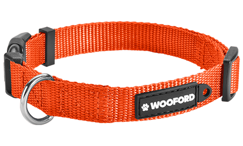 Orange adjustable dog collar, sturdy silver D-ring metal to attach a dog tag, comfortable and durable lightweight nylon.