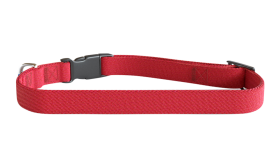 Red embroided dog collar, 30-46cm in length and 1.5cm wide, lightweight nylon, customisable with dog's name and details.