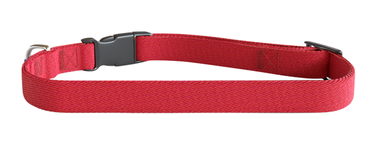 Embroidered Dog Collar Red embroided dog collar, 30-46cm in length and 1.5cm wide, lightweight nylon, customisable with dog's name and details.