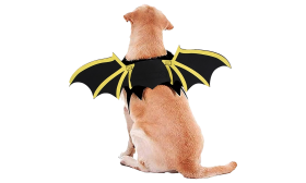 Dog Bat Wing Costume for Halloween