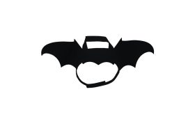 Dog Bat Wing Costume for Halloween