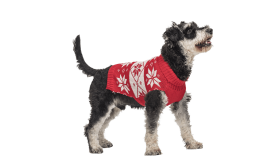 Printed Winter Sweater for Dogs Red winter sweater for dogs with white snowflake pattern, washable, acylic fibers for optimal comfort.