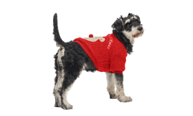 Buttoned Christmas Coat for Dogs Red buttoned Christmas coat for dogs with a fluffy bear design on the back, washable, warm and stylish