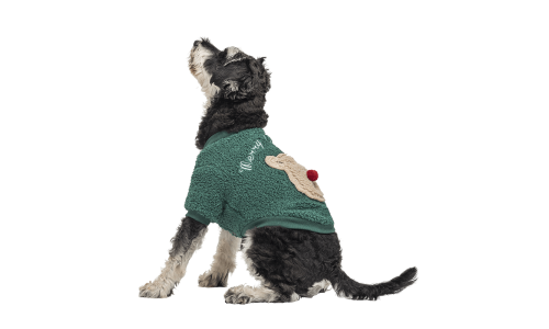 Green buttoned Christmas coat for dogs with a fluffy bear design on the back, washable, for winter and autumn.