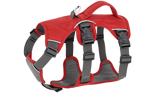 Red waterproof dog harness with adjustable straps, suitable for different types of dogs, with sturdy silver ring.