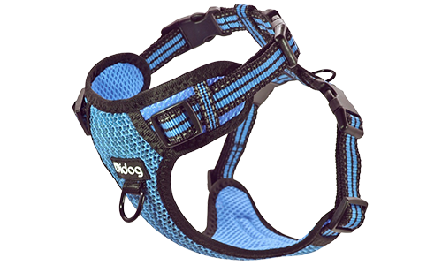 Stylish blue breathable nylon dog harness with adjustable buckle and straps, perfect fit with quick-release buckles.