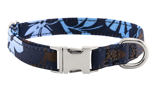 Floral-patterned blue dog collar with adjustable metal buckle, 27 - 40cm in length and 2 cm wide, with D-ring for attachment.