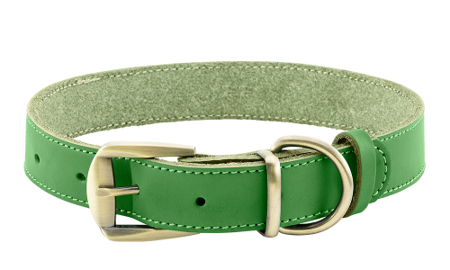 Luxury genuine leather dog collar in green, durable and strong, high-end genuine leather material, with buckle.