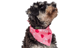 Printed Love Dog Bandana Pink dog bandana with 'LOVE' text, red hearts, and kiss marks, perfect for Valentine's day, high-quality cotton for comfort.