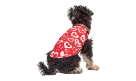 Dog Vest for Valentine's day Pup Outfit Dog wearing a red Valentine's Day-themed vest with red and white heart, designed as a festive and stylish pup outfit.