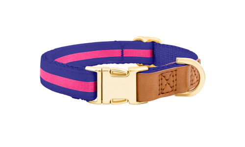 Blue dog collar with adjustable gold metal buckle, 33-55cm in length and 2cm wide, with D-ring for leash attachment.
