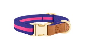 Dog Collar with Buckle Blue dog collar with adjustable gold metal buckle, 33-55cm in length and 2cm wide, with D-ring for leash attachment.