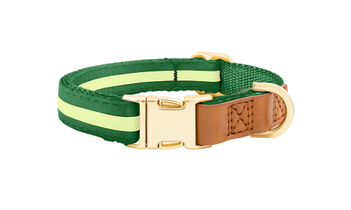 Green dog collar with adjustable gold metal buckle, 27-40cm in length and 1.5cm wide, with D-ring for leash attachment.