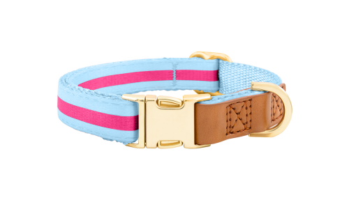 Light blue dog collar with adjustable gold metal buckle, 27-40cm in length and 1.5cm wide, with D-ring for leash attachment.