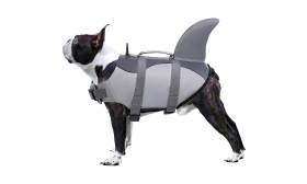 Shark-themed dog life jacket with secure straps, for safety and flotation. Suitable for different types of dogs.