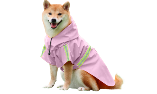 Shiba Inu in a waterproof pink raincoat with reflective strips, easy on and off straps, for rainy walks.