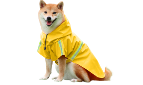 Waterproof Dog Raincoat with Reflective Strip Shiba Inu in a waterproof yellow raincoat with reflective strips, easy on and off straps, for rainy walks.