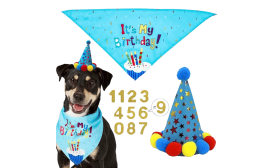 Dog Birthday Bandana Set Blue dog birthday celebration set featuring a colourful 'It's My Birthday!' bandana, lightweight for dogs comfort.