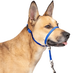 Head Halter Slip Lead With Nose Loop Muzzle For Large Sized Dog
