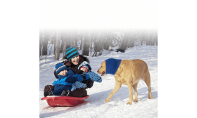 Anti-Anxiety Dog Snood for Noise, Ear, and Winter Protection