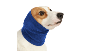 Anti-Anxiety Dog Snood for Noise, Ear, and Winter Protection