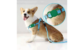 Durable Silicone AirTag Holder for Dog Collars – Anti-Lost Protection