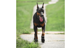 360° Reflective Safety Dog Shoes - Waterproof & Anti-Slip Paw Protection Dog Boot
