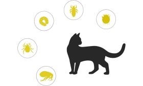 Natural Flea and Tick Collar For Cat Natural flea and tick collar for cats, targeted protection against fleas, ticks, larvae, lice, mosquitoes.