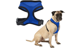 Blue mesh dog harness, lightweight, designed for comfort, with adjustable black straps and durable clip.