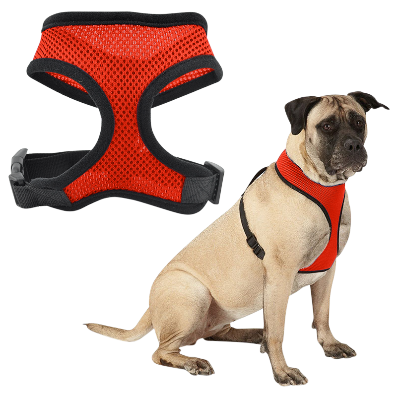 Dog harness