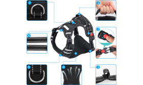 Detailed view of no pull dog harness, small size, showing durable buckles, reflective stitching, and breathable mesh.