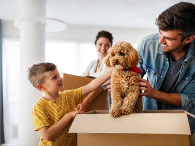 Essential New Puppy Checklist: Must-Have Puppy Essentials for You